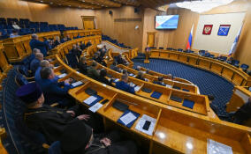 Анна Данилюк назвала приоритетной задачей Ленобласти поддержку и укрепление межнационального мира и согласия