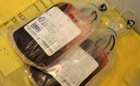 Женщину с редким заболеванием спасли благодаря участию 150 доноров крови в Ленобласти