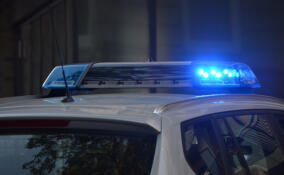 Полицейский рейд во Всеволожском районе завершился обнаружением нелегалов и изъятием сомнительного алкоголя