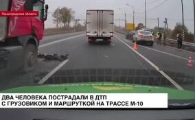 Грузовик и маршрутка столкнулись в Тосненском районе на трассе М-10