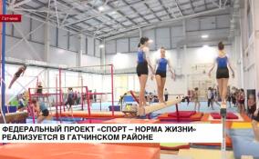 В Гатчинском районе реализуется федеральный проект «Спорт — норма жизни»