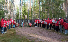 На воинском захоронении в Выборгском районе посадили именные деревья в память о павших
