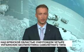 Над Брянской областью уничтожили четыре украинских беспилотника самолетного типа