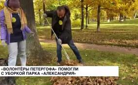 «Волонтеры Петергофа» помогли с уборкой парка «Александрия»