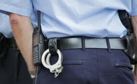 Полицейские нашли пять свертков с наркотиками у мужчины в поселке Гончарово