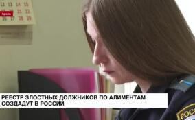В России создадут реестр злостных должников по алиментам