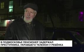 В Подмосковье 72-летний Михаил Макаров остановил преступника и не дал ограбить ребенка