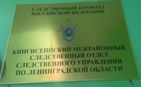 Уголовное дело завели после гибели рабочего в порту Усть-Луга
