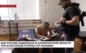 В Запорожской области сотрудники ФСБ России раскрыли три агентурные группы ГУР Украины