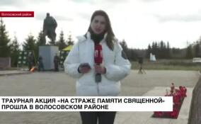 Траурная акция «На страже памяти священной» прошла в Волосовском районе