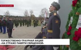 В Волосовском районе прошла торжественно-траурная акция «На страже памяти священной»