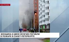 Женщина и двое мужчин погибли в пожаре на улице Маршала Захарова в Петербурге