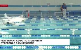 В Кингисеппе стартовал чемпионат СЗФО по плаванию