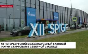В Северной столице стартовал XII Петербургский международный газовый форум