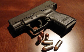 Полицейские задержали стрелявшего в мужчину в Гатчине