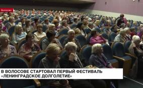 Первый фестиваль «Ленинградское долголетие» стартовал в Волосово