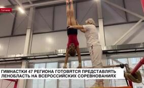Гимнастки Ленобласти готовятся к всероссийским соревнованиям