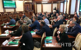 В ходе заседания в Доме правительства Ленобласти утвердили состав экспертной группы экологического совета