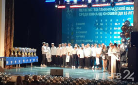 В Петербурге объявили победителей и призеров Чемпионата и Первенства Ленобласти по футболу сезона 2023