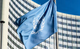 Срочное заседание Совбеза ООН: нас не услышат, но мы попробуем