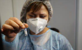 В Ленобласти на 5% снизилась заболеваемость гриппом и ОРВИ