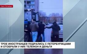 Трое иностранцев подрались с петербуржцами и отобрали у них деньги и телефон