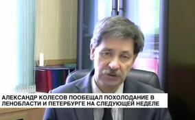 Александр Колесов пообещал похолодание в Ленобласти и Петербурге на следующей неделе