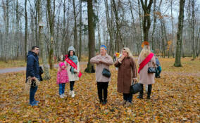 В Санкт-Петербурге активисты отмечают Синичкин день