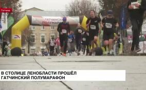 В столице Ленобласти прошел Гатчинский полумарафон