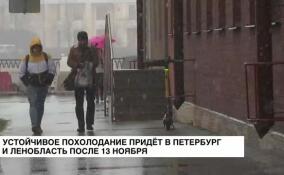 Устойчивое похолодание наступит в Петербурге после 13 ноября