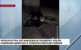 Прокуратура организовала проверку после жестокого избиения девочки в Ломоносовском районе