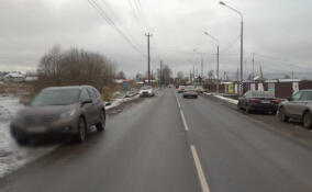 В Ломоносовском районе иномарка насмерть сбила пешехода, внезапно вышедшего на дорогу
