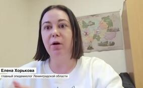 Рост заболеваемости COVID-19: Елена Хорькова рассказала о ситуации в Ленобласти
