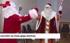 В Санкт-Петербурге прошел кастинг на роль Деда Мороза
