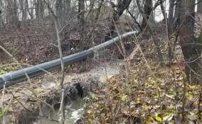 Из-за коммунальной аварии в городе Отрадное канализация стекает в Неву – видео
