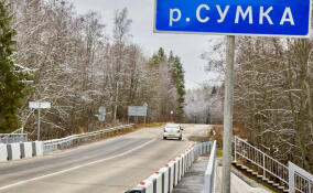 До конца 2023 года в Ленобласти введут в эксплуатацию шесть мостов