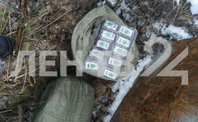 Более 10,5 кг гашиша нашли в иномарке у деревни Мыза