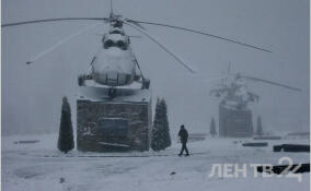 Метель и снегопад ожидаются в Ленинградской области 23 ноября