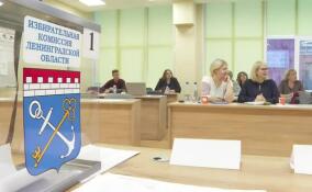 В Гатчине прошел семинар по вопросам организации и проведения предстоящих выборов президента