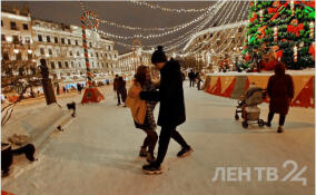 Почти 230 катков будут работать в Петербурге зимой
