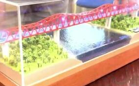 Дорожники показали уменьшенный в 900 раз мост-гигант через Свирь