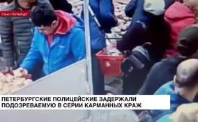 Петербургские полицейские задержали подозреваемую в серии карманных краж