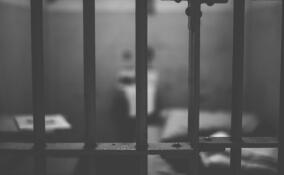 Мужчина получил более 10 лет тюрьмы за убийство и кражу в Сосновом Бору