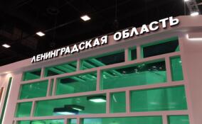 В Ленобласти уровень безработицы остается одним из самых низких в стране