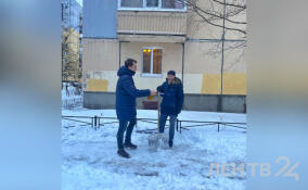 Госжилнадзор контролирует уборку снега в городах Ленобласти