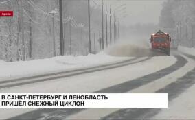 В Санкт-Петербург и Ленинградскую область пришел снежный циклон