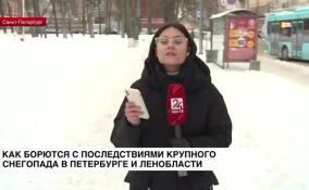 «Черная метель» не планирует покидать Ленинградскую область и Санкт-Петербург