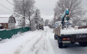 Снег продолжит засыпать Ленинградскую область в ближайшие дни