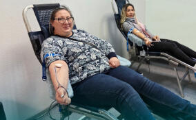 Свыше 22 литров крови сдали доноры во Всеволожской больнице