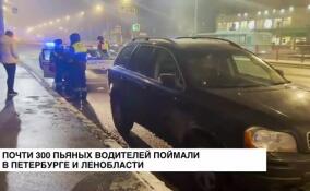 Почти 300 пьяных водителей поймали в Петербурге и Ленобласти